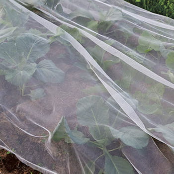 Insektnet / Kålnet - 2X5 M, 6 Pløkker