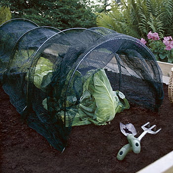 Væksttunnel Sort Net 40X50X310 Cm