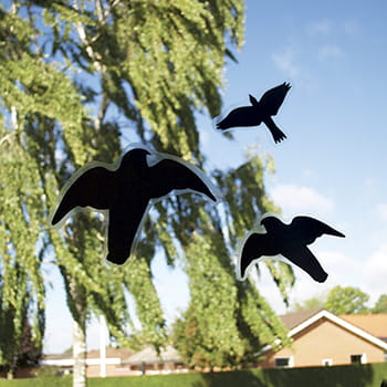 Fugleklistermærker          6 Stk